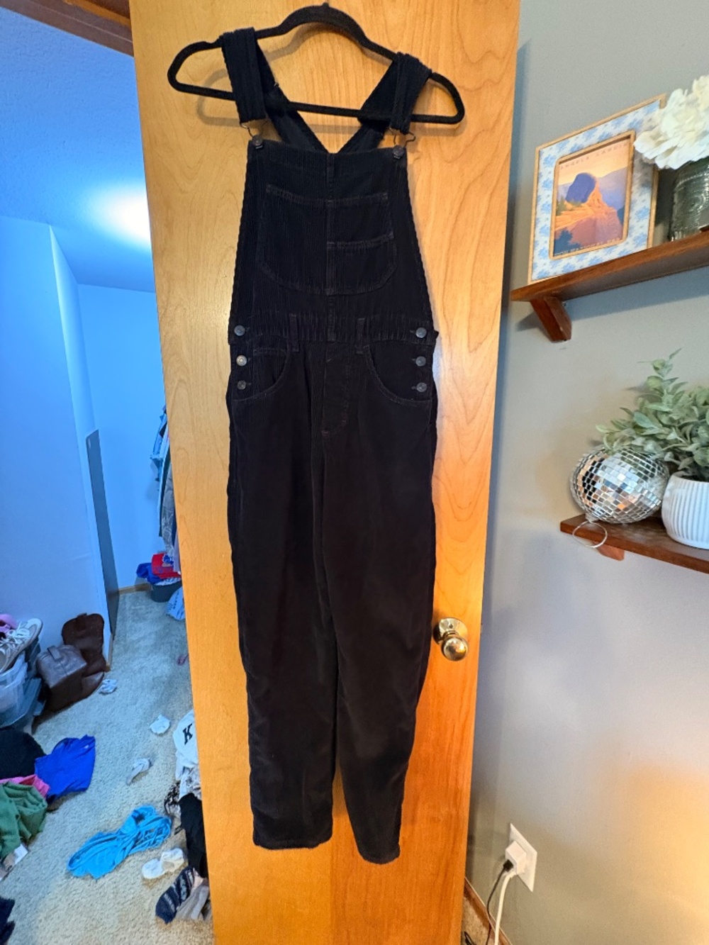 We The Free Ziggy Cord Overalls - Picture 5 of 7